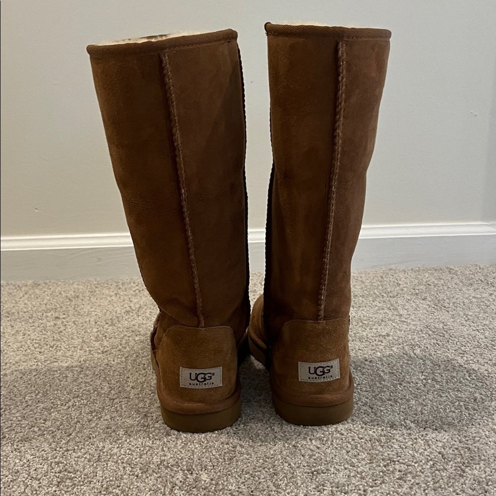 UGG Chestnut Suede Boots